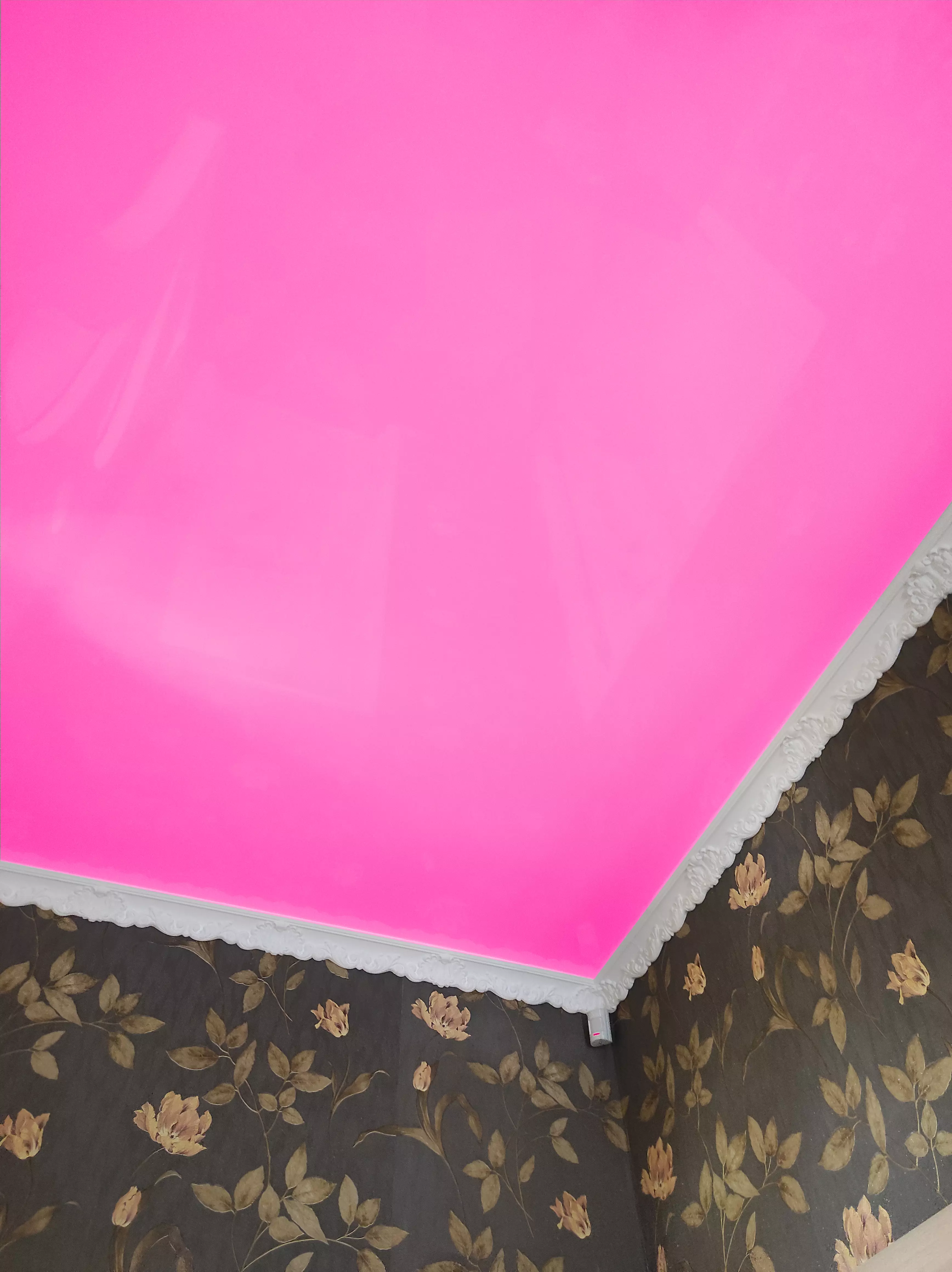 Братск, Подбельского, 42, фото 2