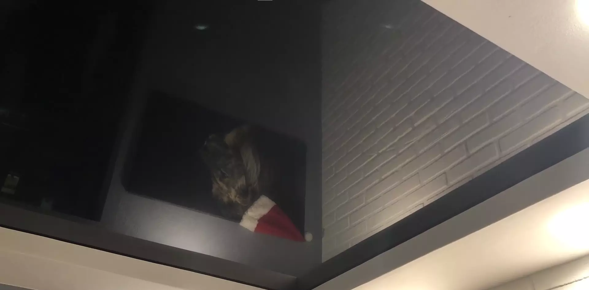 Балашиха, Советская, 60, фото 3