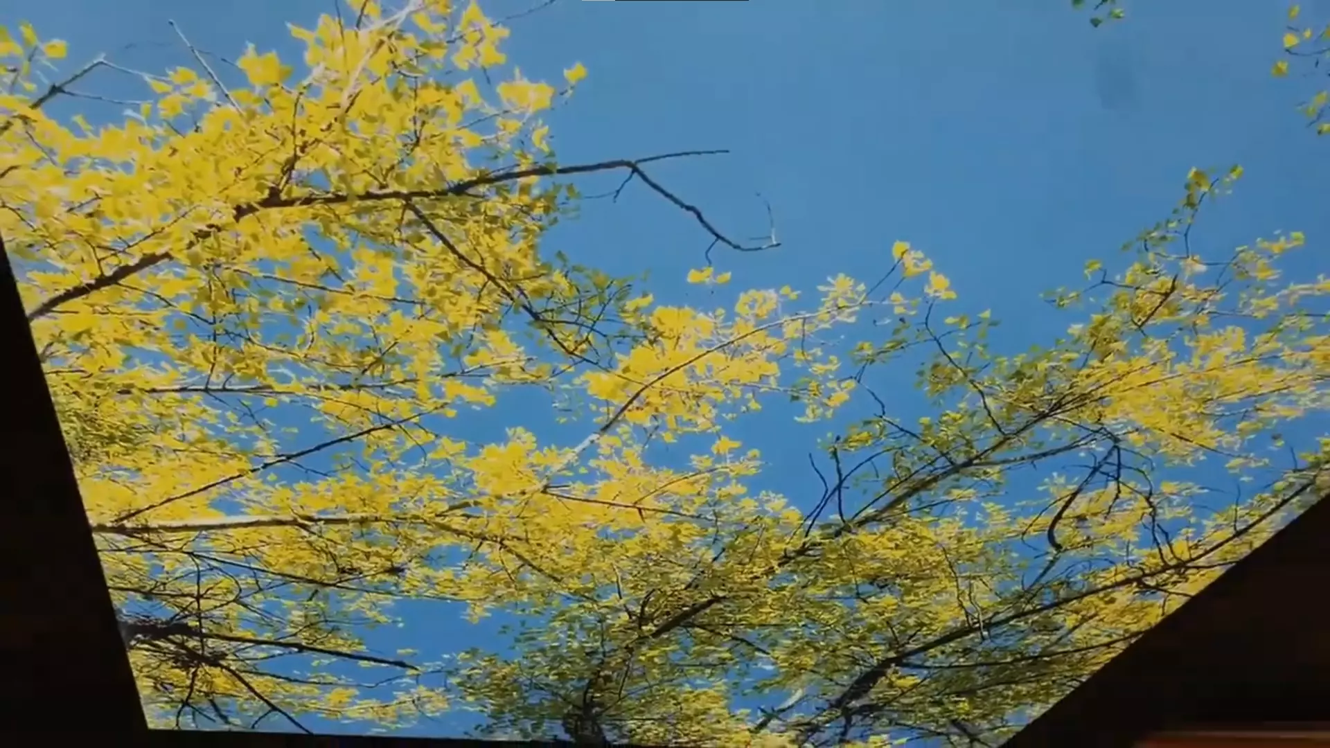 Уссурийск, , фото 2