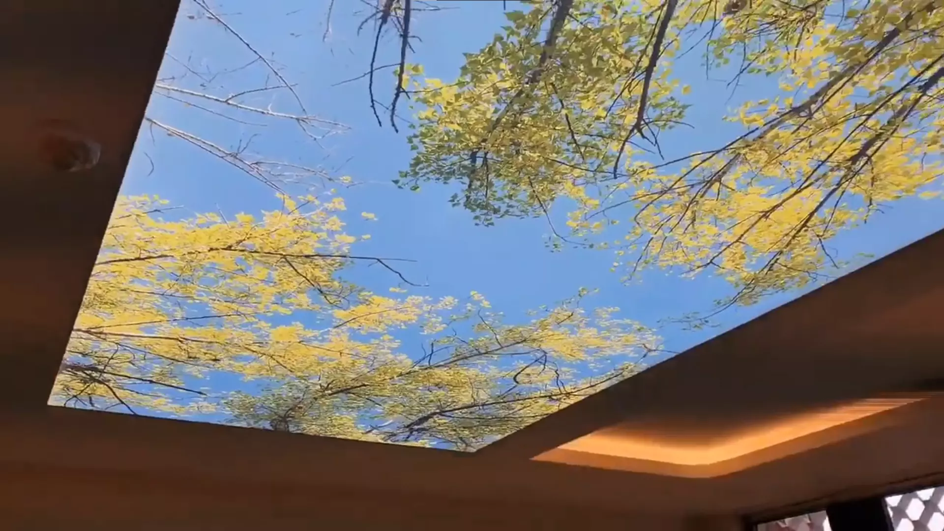 Уссурийск, , фото 3